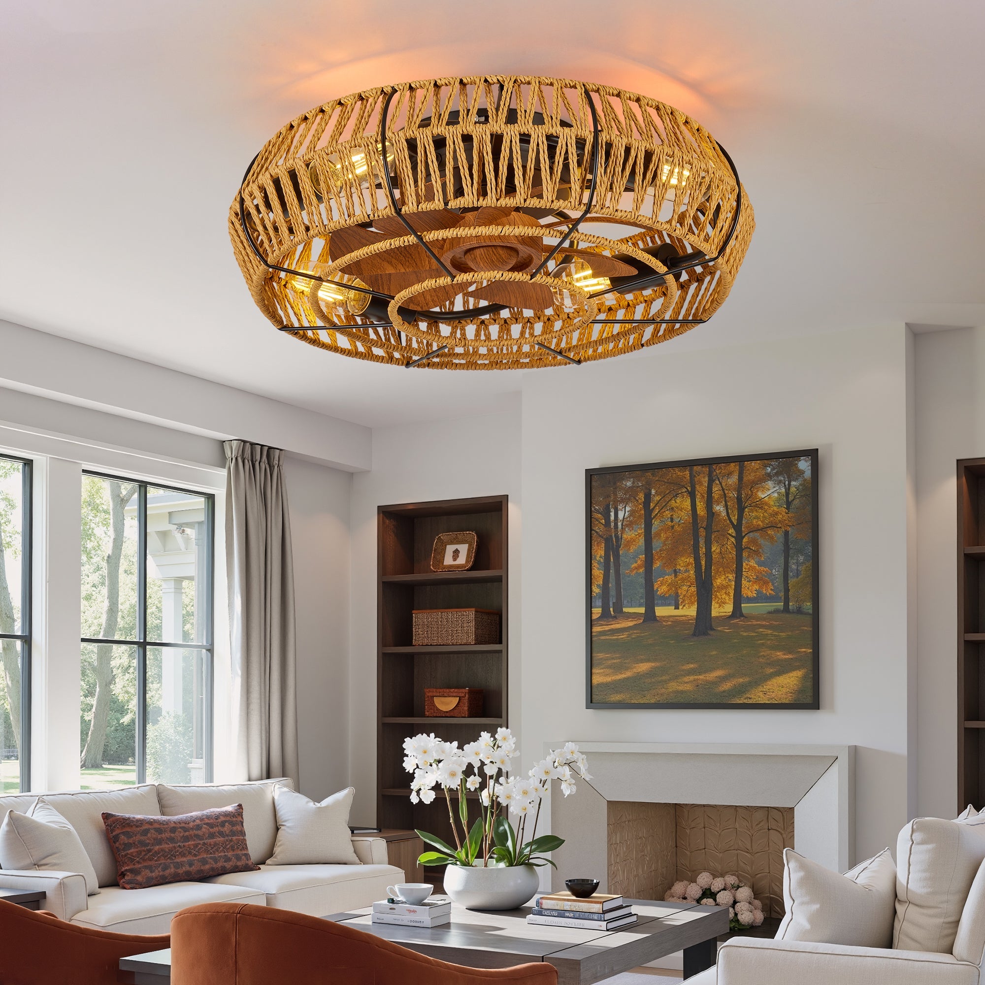 Ceiling Fan Caged Boho Flush Mount with Light Remote 6 Speed 19 In