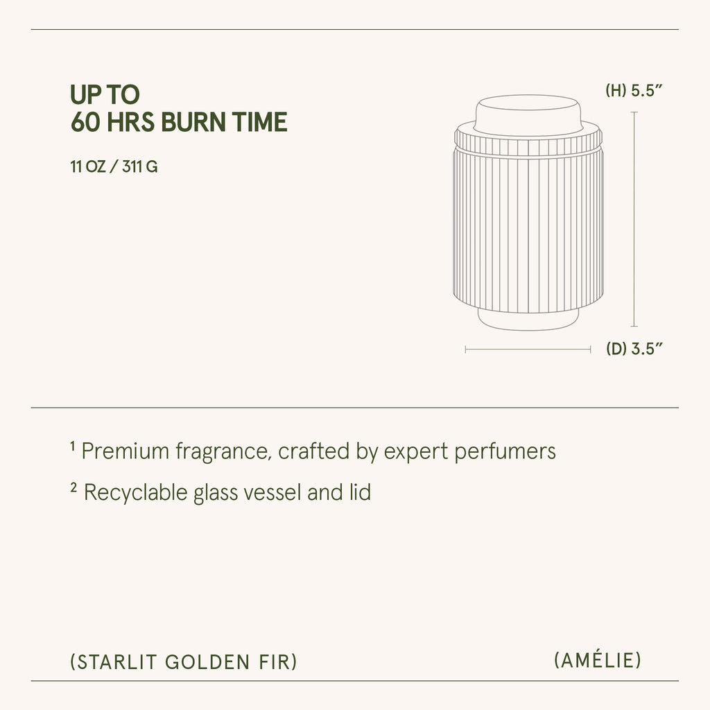 Amélie – Starlit Golden Fir 11oz Candle