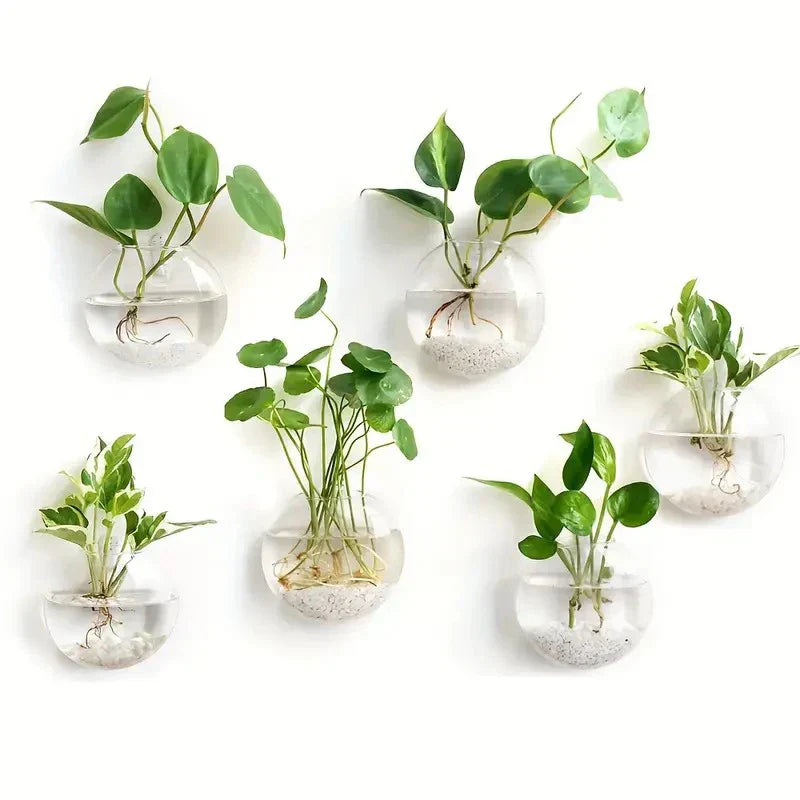 DecorBites™ Modern Hanging Glass Vase for Home Decor