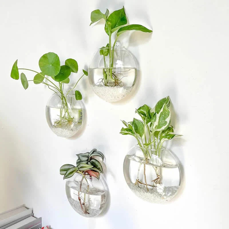 DecorBites™ Modern Hanging Glass Vase for Home Decor